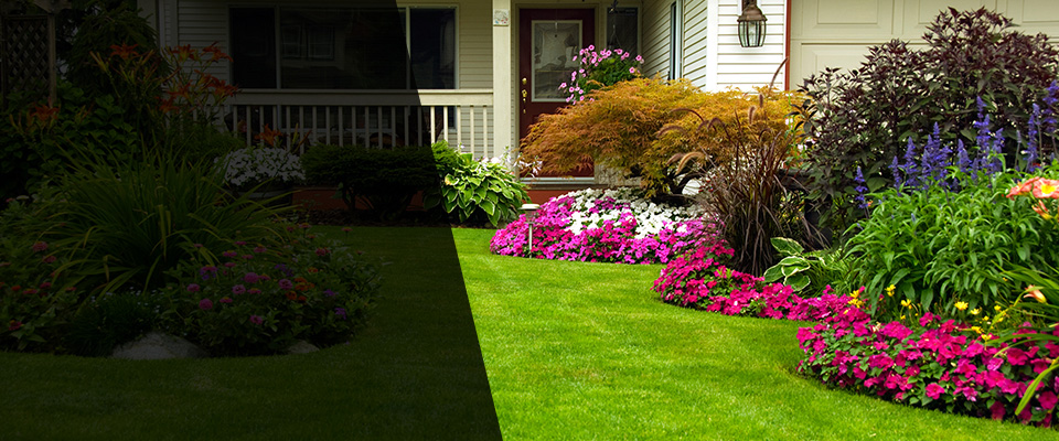 Teague Landscapers
