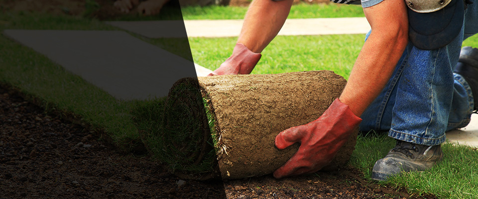 Teague Landscapers